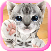 3D Cute Cat