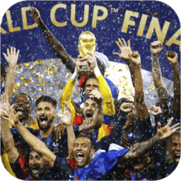 WORLD CUP REAL FOOTBALL GAMES