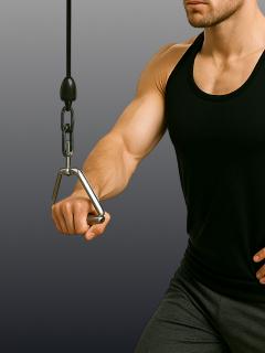 Build a Stronger Back with the Standing Row