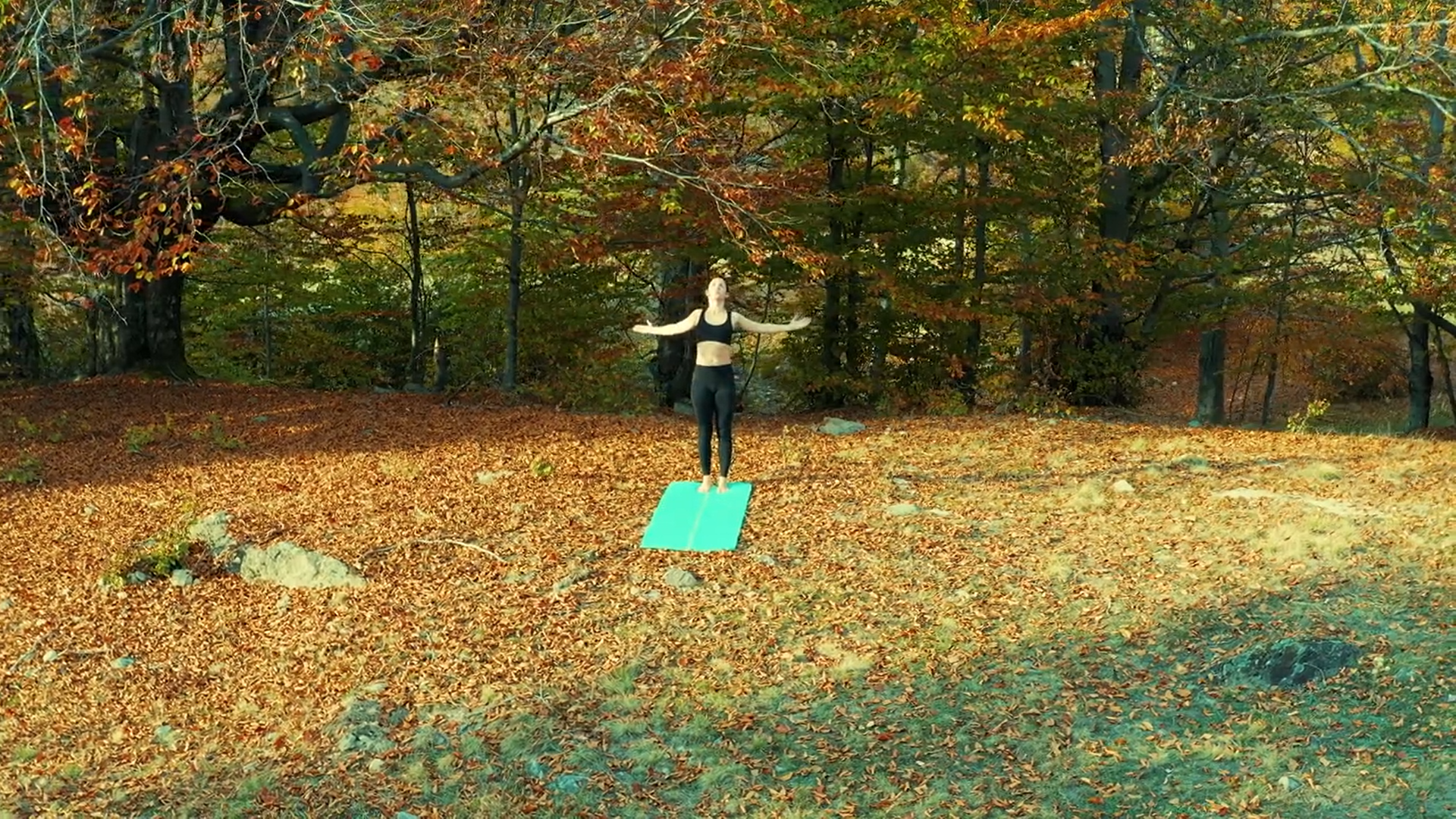 Relaxing Pilates in Nature